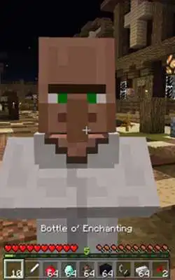 Play Villager Companion Mod MCPE