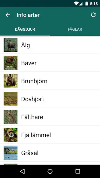 Play Viltappen as an online game online Viltappen with UptoPlay Play Viltappen as an online game Viltappen with UptoPlay