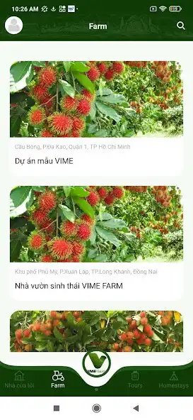 Play VIME Garden  and enjoy VIME Garden with UptoPlay