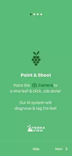 Play Vine Click as an online game Vine Click with UptoPlay