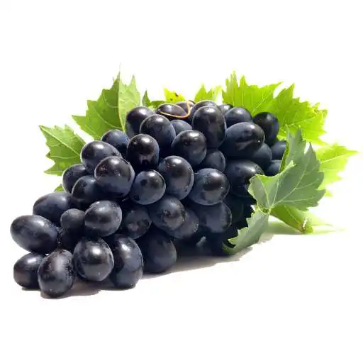 Play Vineyard: from A to Z APK