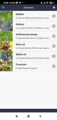 Play Vineyard: from A to Z as an online game Vineyard: from A to Z with UptoPlay