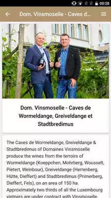 Play VinsLux