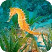 Free play online Vintage aquarium. Wallpapers APK