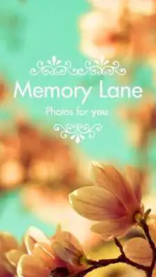 Play Vintage Flower Patterns