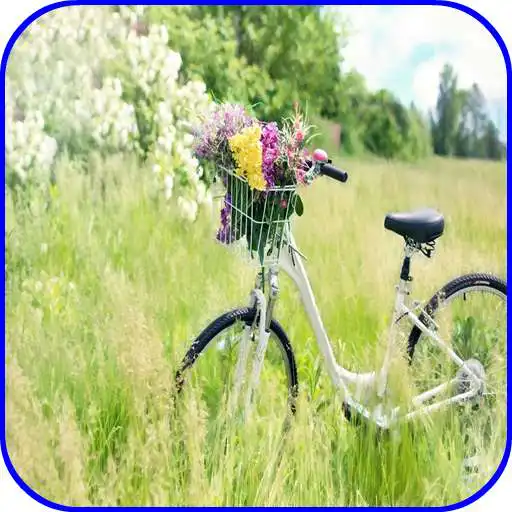 Play Vintage HD Wallpaper 2020 APK