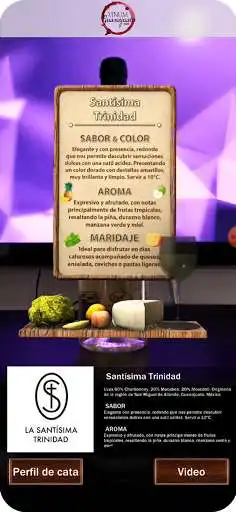 Play Vinum Perfil de Cata AR and enjoy Vinum Perfil de Cata AR with UptoPlay Play Vinum Perfil de Cata AR and enjoy Vinum Perfil de Cata AR with UptoPlay