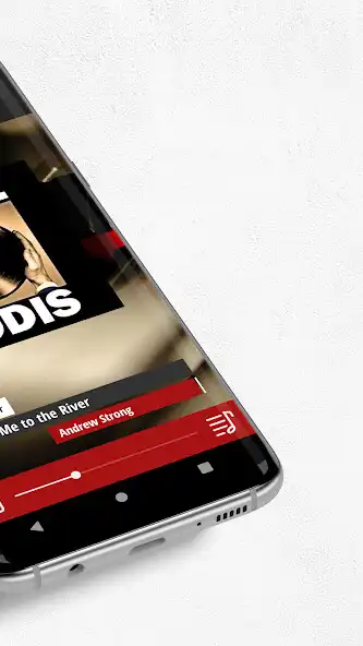Play Vinylgodis as an online game Vinylgodis with UptoPlay