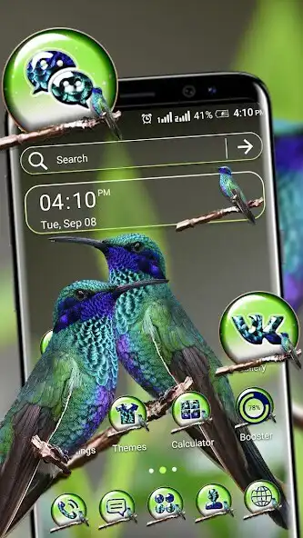 Play Violetear Hummingbird Theme  and enjoy Violetear Hummingbird Theme with UptoPlay