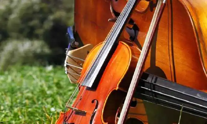 Play Violin Covers of Best Songs