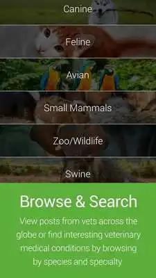 Play ViralVet