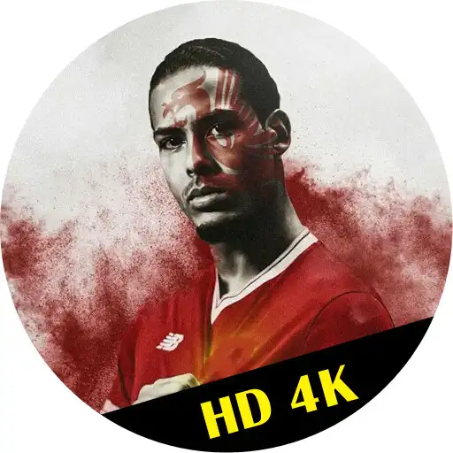 Play Virgil van Dijk Wallpaper HD APK