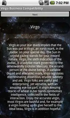 Play Virgo Business Compatibility