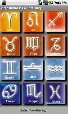 Play Virgo Business Compatibility