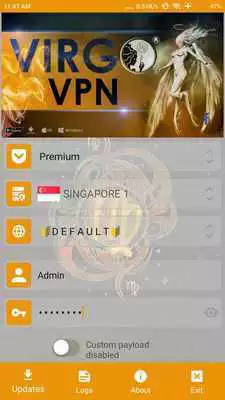 Play Virgo VPN