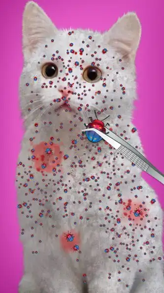 Play Virtual Cat ASMR Spa Makeover as an online game Virtual Cat ASMR Spa Makeover with UptoPlay
