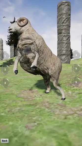 Play Virtual Pet Merino Sheep 2  and enjoy Virtual Pet Merino Sheep 2 with UptoPlay
