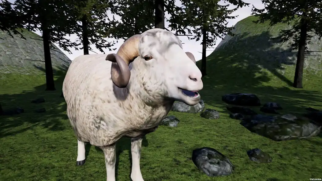 Play Virtual Pet Merino Sheep as an online game Virtual Pet Merino Sheep with UptoPlay