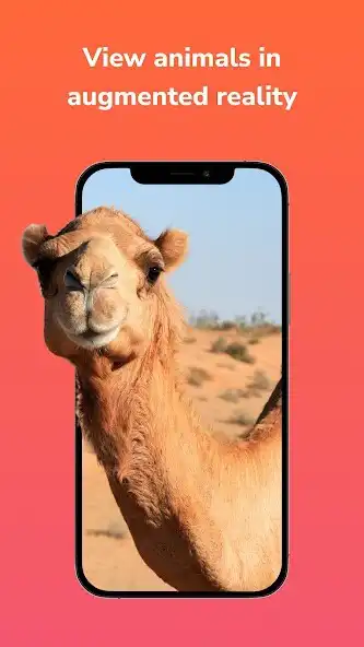 Play Virtual Safari  and enjoy Virtual Safari with UptoPlay