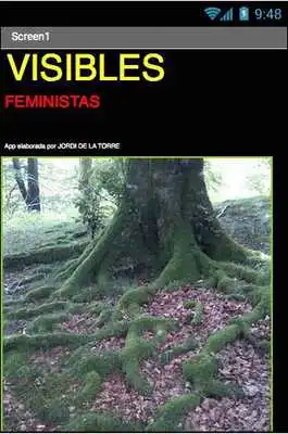 Play VISIBLES FEMINISTAS Play VISIBLES FEMINISTAS