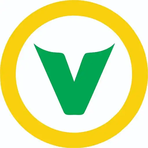 Play Vision Partner APK