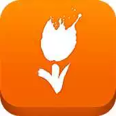 Free play online Visit Holland APK