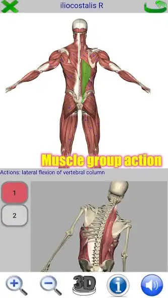Play Visual Anatomy 2 as an online game Visual Anatomy 2 with UptoPlay