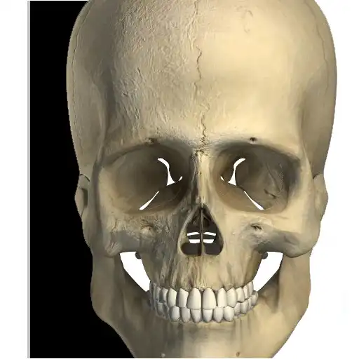 Play Visual Bones APK Play Visual Bones APK