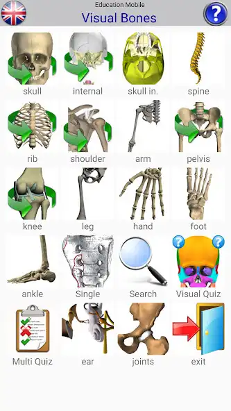 Play Visual Bones  and enjoy Visual Bones with UptoPlay