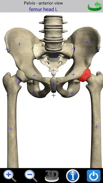 Play Visual Bones as an online game Visual Bones with UptoPlay