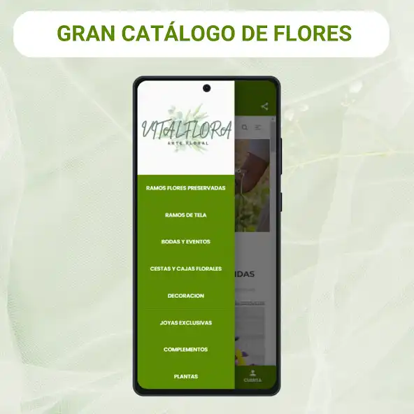 Play Vitalflora as an online game Vitalflora with UptoPlay
