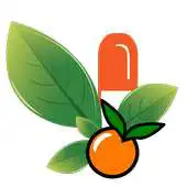 Free play online Vitamins for You APK Free play online Vitamins for You APK