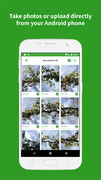 Play VitiCanopy as an online game VitiCanopy with UptoPlay