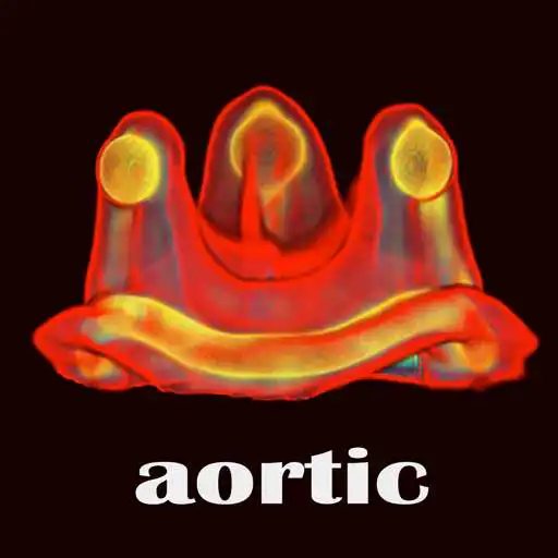 Play ViV Aortic APK Play ViV Aortic APK