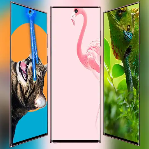 Play Vivo Y22s Punch Hole Wallpaper APK Play Vivo Y22s Punch Hole Wallpaper APK