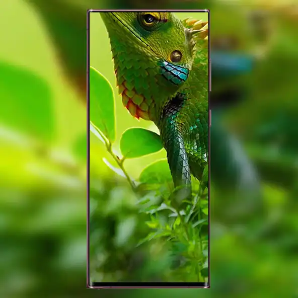 Play Vivo Y22s Punch Hole Wallpaper  and enjoy Vivo Y22s Punch Hole Wallpaper with UptoPlay