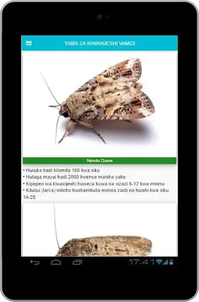 Play Viwavijeshi Vamizi: Fall ArmyWorm  and enjoy Viwavijeshi Vamizi: Fall ArmyWorm with UptoPlay