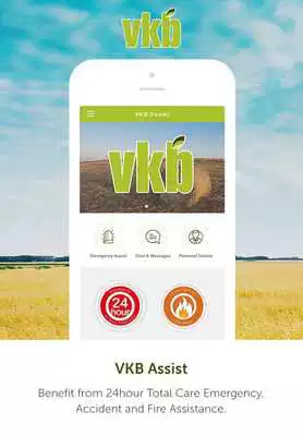 Play VKB Assist