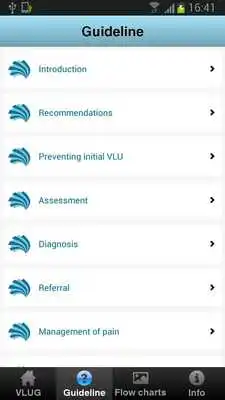 Play VLU Guidelines