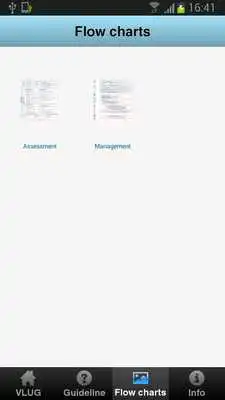 Play VLU Guidelines
