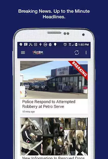 Play VNL News as an online game VNL News with UptoPlay