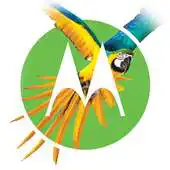 Free play online Voe com o Moto G5 e G5 Plus APK