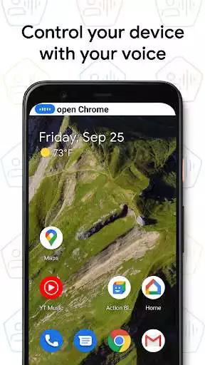 Play Voice Access