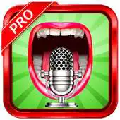 Free play online Voice Changer Effects Studio APK