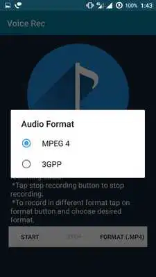 Play Voice Rec