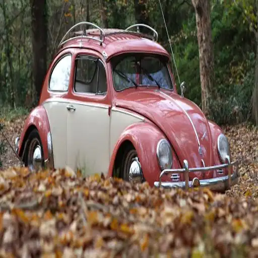 Play Volkswagen Beetle APK