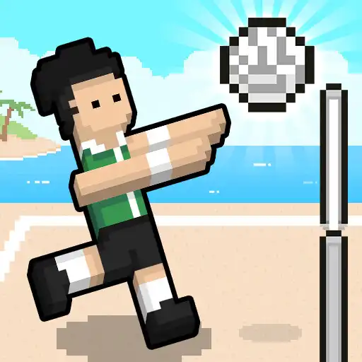 Play Volley Random APK