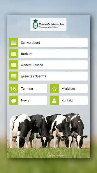 Play VOST Bulls  and enjoy VOST Bulls with UptoPlay