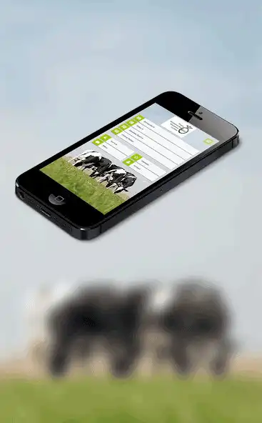 Play VOST Bulls as an online game VOST Bulls with UptoPlay