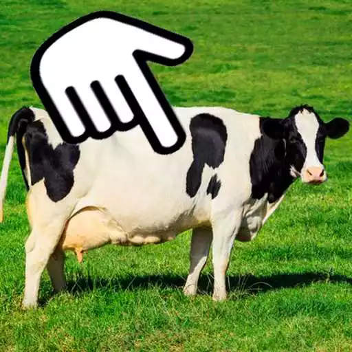 Play Vov Animal Sounds APK